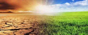 El impacto del cambio climático en la agricultura y la seguridad alimentaria