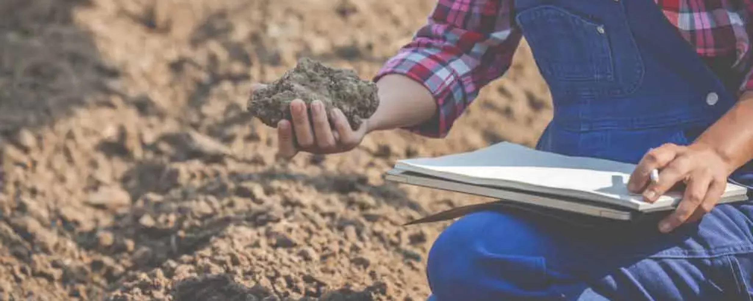 Soil Food Web with Dr. Elaine Ingham